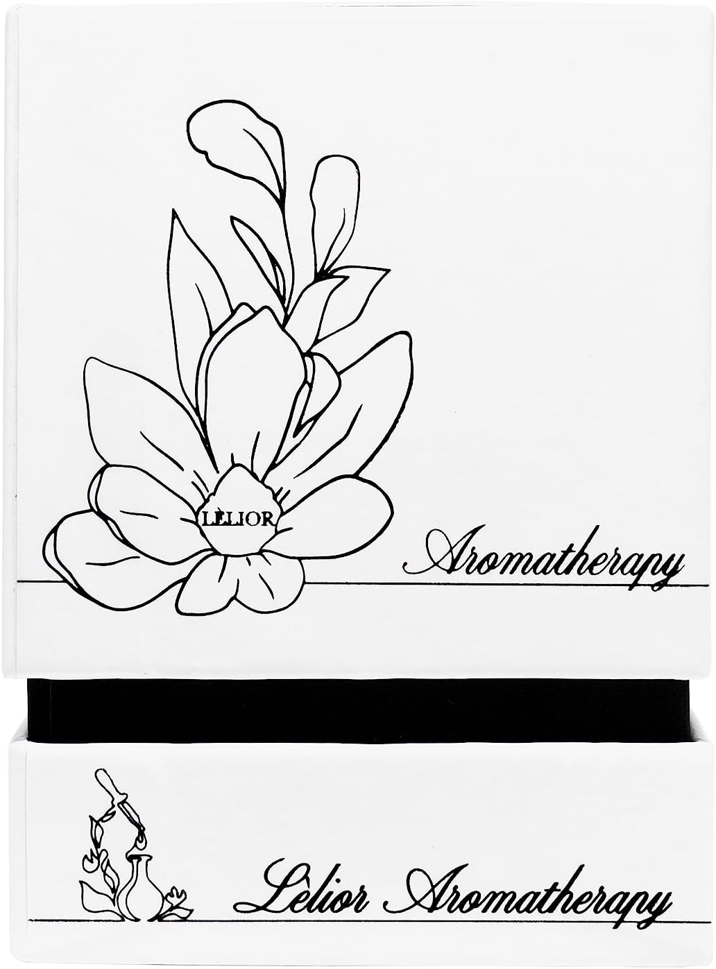 Aromatherapy Collection (20ML) (Focus)