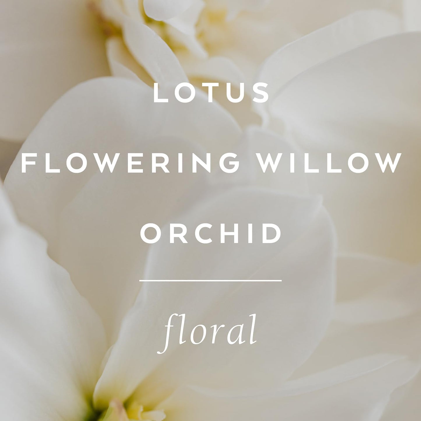 LOLLIA Imagine Dry Body Oil, 6.8 Fl. Oz. – Flowering Willow & Lotus – Women’s, Scented, Moisturizing, Dry Body Oil for Women, For All Skin Types