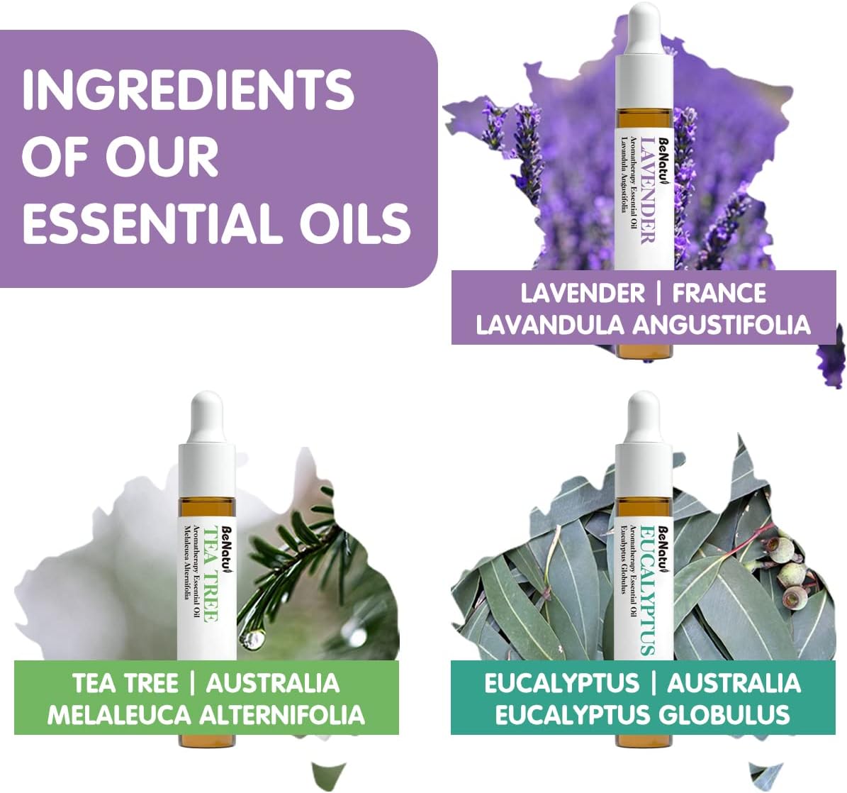 Benatu Essential Oils Set (Tea Tree Lavender Eucalyptus) for Home, Organic Relax Scent Aromatherapy Gift for Women and Men, Natural Fragrance for Skin Care, Body Topical Massage, Diffuser 3 Packs