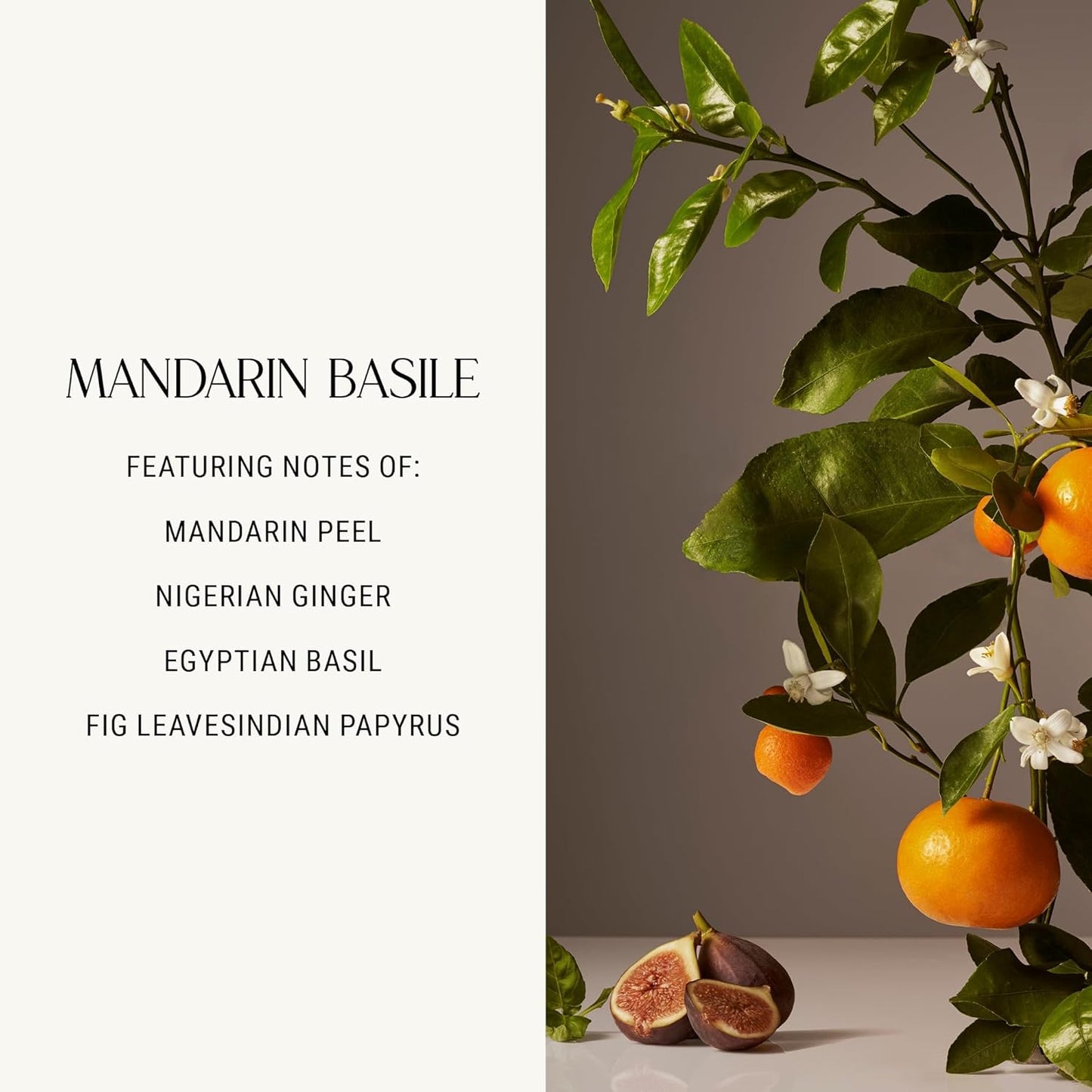 Homecourt Hand Cream, Non-Greasy Moisturizer for Hydrated, Nourished & Soft Hands, Dermatologist Tested, Clean Formula, Mandarin Basile, 12 fl oz