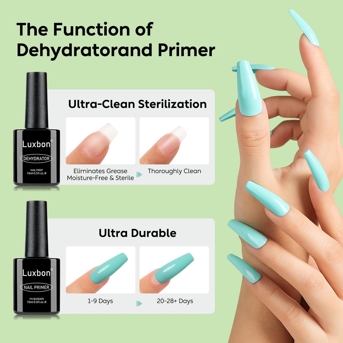 Luxbon 2 Pcs 15ml Nail Primer & Nail Dehydrator Set - Long Lasting, Shine Finish, UV LED Nail Lamp Soak Off Gel Nail Prep Set Manicure