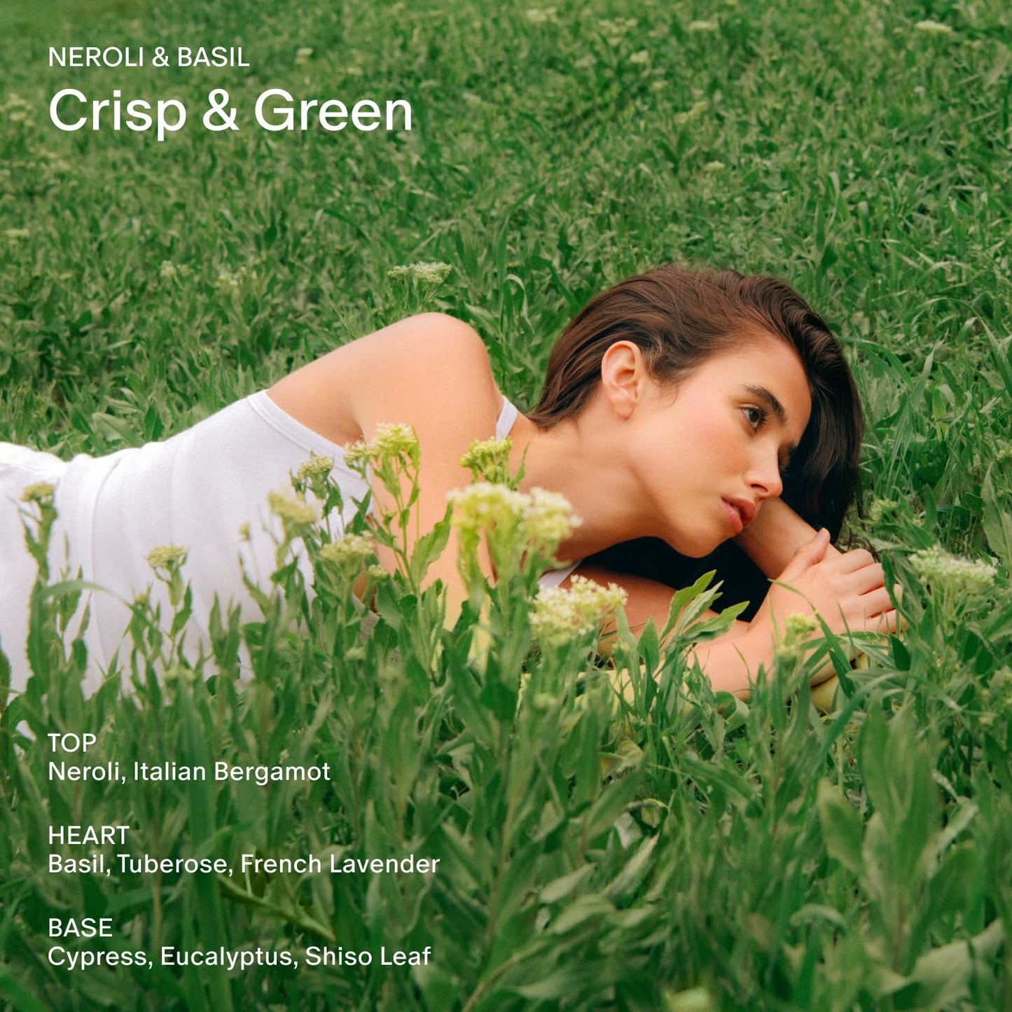 Salt & Stone Hand Cream for Women & Men | Neroli & Basil | Hydrates, Nourishes & Softens Skin | Restores Dry Cracked Hands | Fast-Absorbing | Cruelty-Free & Vegan (2 fl oz)