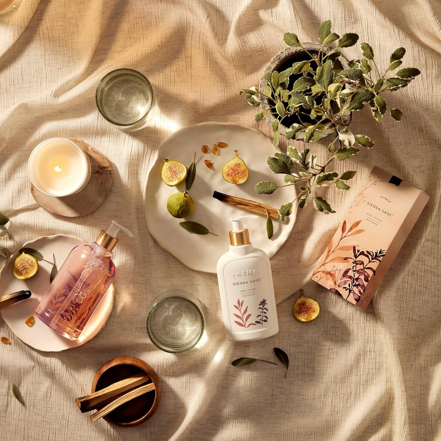 Thymes Sienna Sage Body Lotion - Hand and Body Cream (9.25 fl oz)